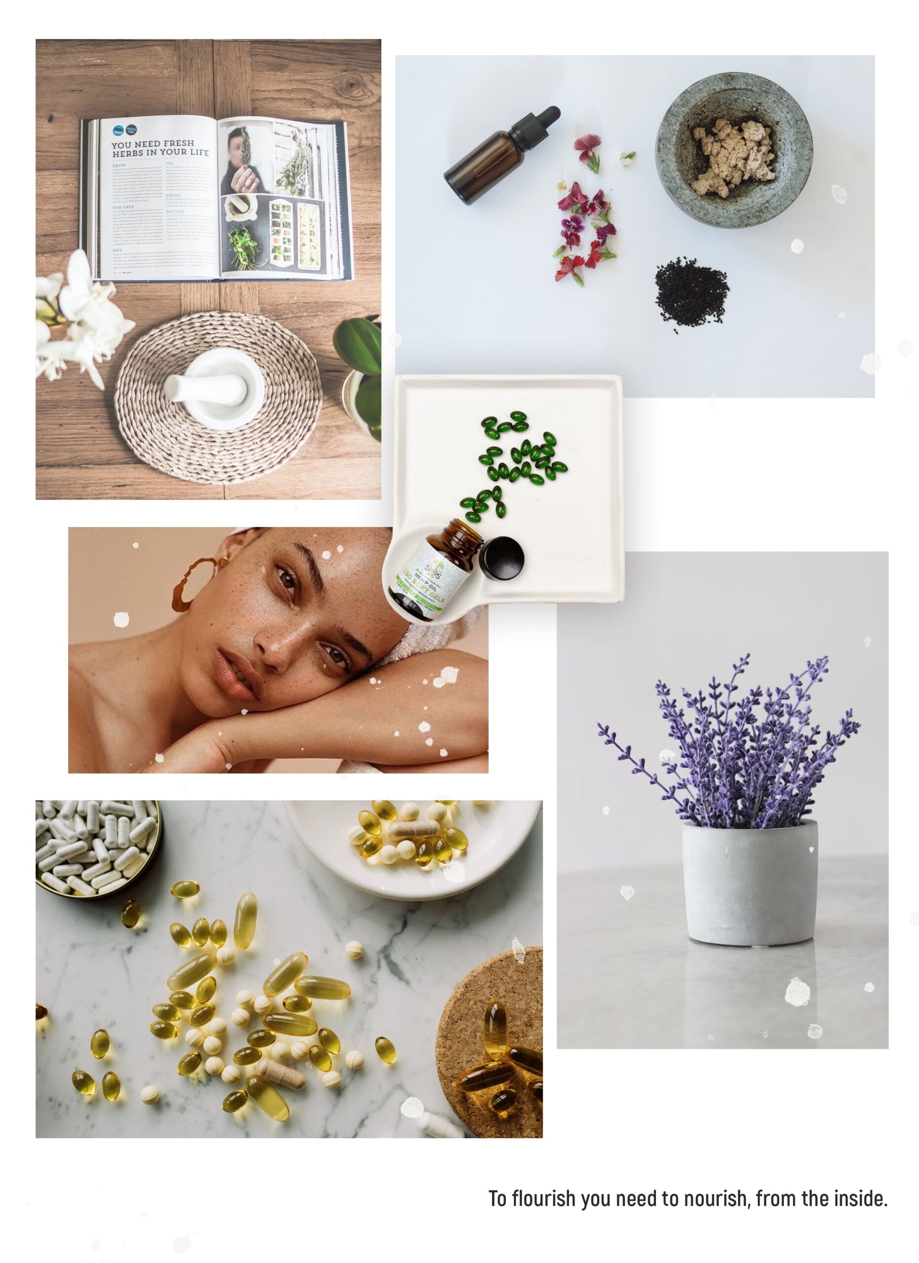 Skin Naturopathics-Moodboard2